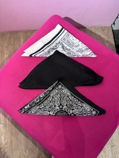 Pañoletas/bandanas variadas✨