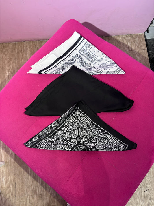 Pañoletas/bandanas variadas✨